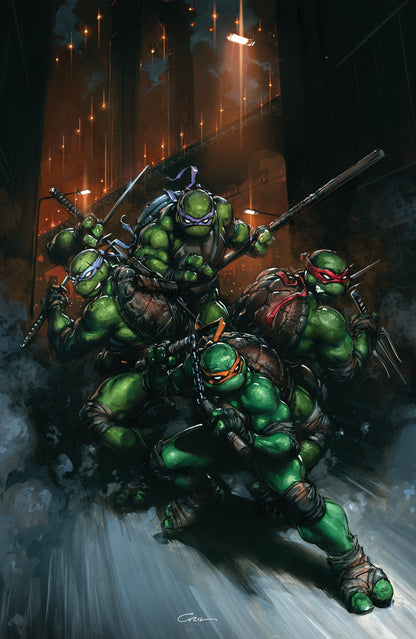 Teenage Mutant Ninja Turtles #13 - Cover Select