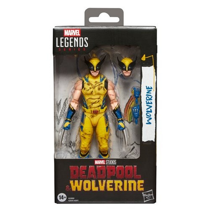 Hasbro Marvel Legends Wolverine 6-Inch Action Figure | Deadpool & Wolverine Wave